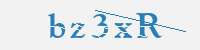 보안문자
